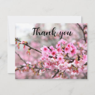 Spring Cherry Blossom Floral Sakura Danke
