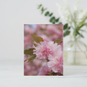 Spring Cherry Blossom Postkarte (Stehend Vorderseite)
