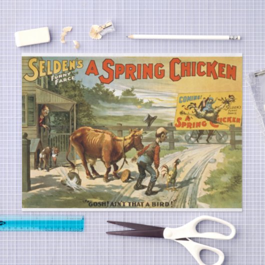 Spring Chicken Decoupage Seidenpapier (Handwerk)