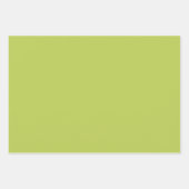 Spring Colors Set Wrapping Paper Sheets Geschenkpapier Set (Vorderseite 3)