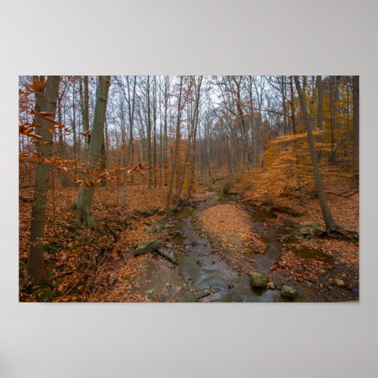 Spring Creek, Cuyahoga Valley NP, Ohio Poster (Vorne)