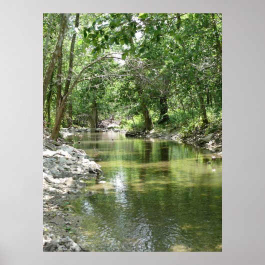 Spring Creek Tributary Poster (Vorne)