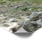 Spring Creek Tributary Poster (Ecke)