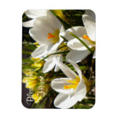 Spring Crocus "Bless This House" Magnet (Vertikal)