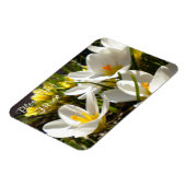 Spring Crocus "Bless This House" Magnet (Linke Seite)