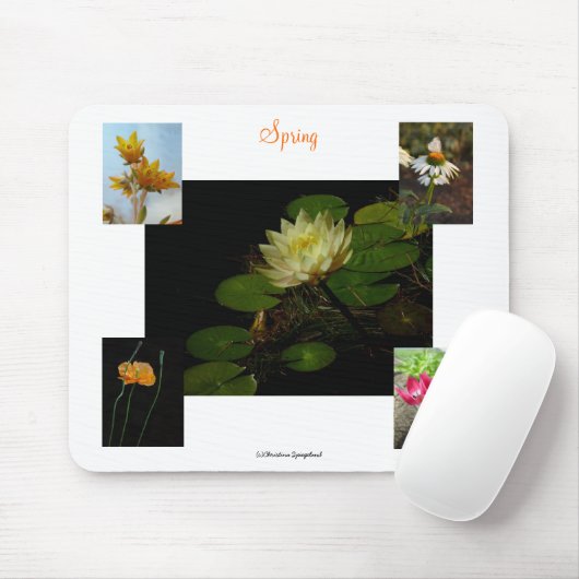 Spring Crocus Blume Mousepad (Mit Mouse)