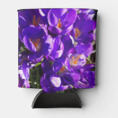 SPRING CROCUS DOSENKÜHLER (Vorderseite)