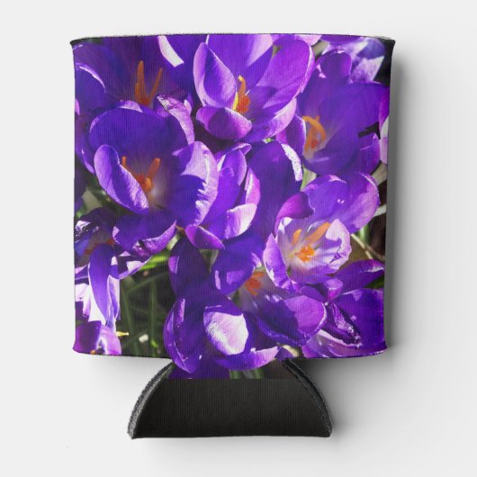 SPRING CROCUS DOSENKÜHLER (Vorderseite)