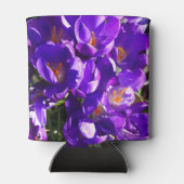 SPRING CROCUS DOSENKÜHLER (Rückseite)