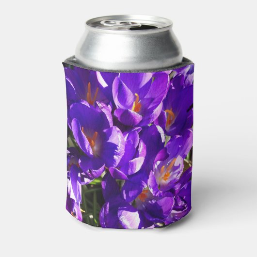 SPRING CROCUS DOSENKÜHLER (Kanne Rückseite)