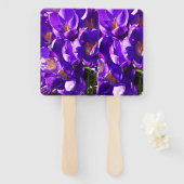 SPRING CROCUS FÄCHER (Vorne und Hinten)