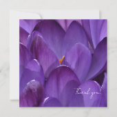 Spring Crocus Flower Photography Dankeskarte (Vorderseite)