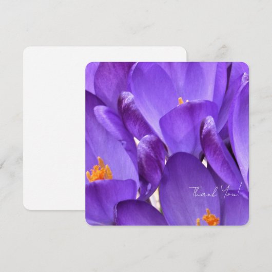 Spring Crocus Flower Photography Dankeskarte (Vorne/Hinten)