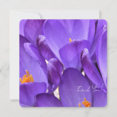 Spring Crocus Flower Photography Dankeskarte (Vorderseite)