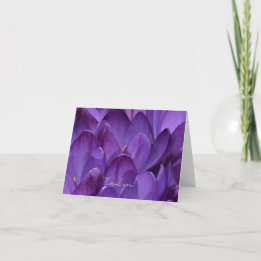 Spring Crocus Flower Photography Dankeskarte