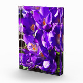 SPRING CROCUS FOTOBLOCK (Rechts)