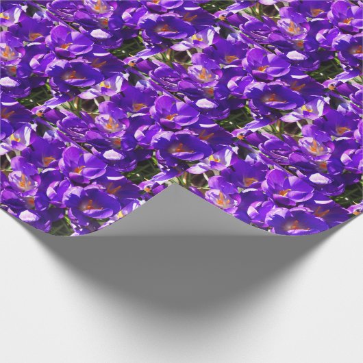 SPRING CROCUS GESCHENKPAPIER (Ecke)