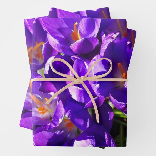 SPRING CROCUS GESCHENKPAPIER SET (Beispiel)