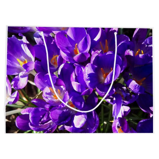 SPRING CROCUS GROßE GESCHENKTÜTE (Rückseite)