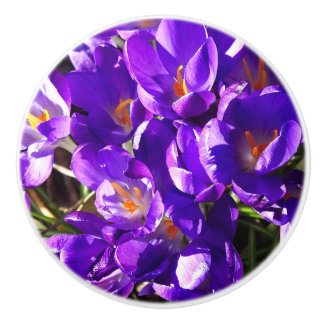 SPRING CROCUS KERAMIKKNAUF