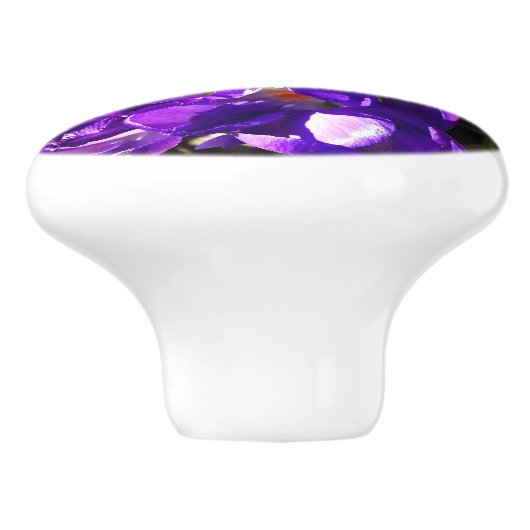 SPRING CROCUS KERAMIKKNAUF (Seitenansicht)