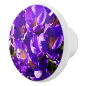 SPRING CROCUS KERAMIKKNAUF (Rechts)