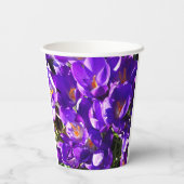 SPRING CROCUS PAPPBECHER (Rückseite)