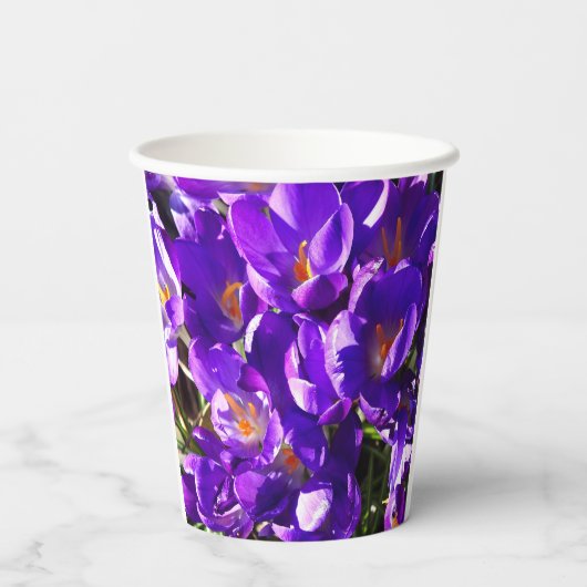 SPRING CROCUS PAPPBECHER (Rückseite)