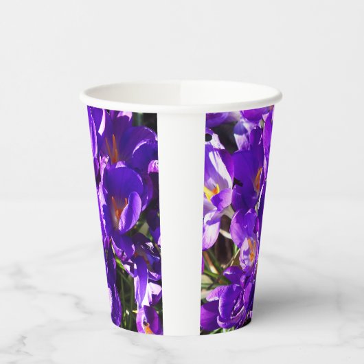 SPRING CROCUS PAPPBECHER (Links)