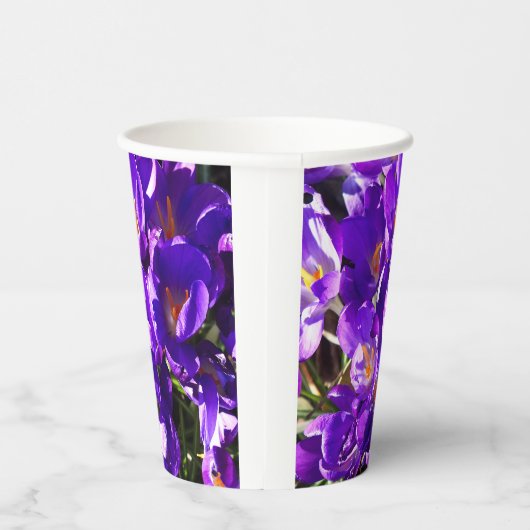 SPRING CROCUS PAPPBECHER (Rechts)