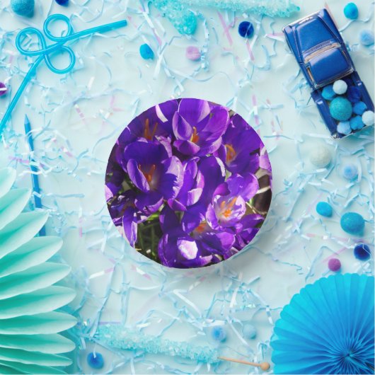 SPRING CROCUS PAPPTELLER (Party)