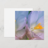 Spring Crocus Photography Dankeskarte (Vorne/Hinten)