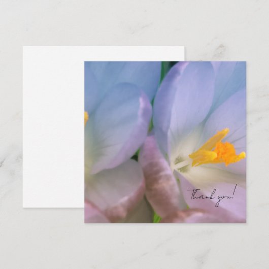 Spring Crocus Photography Dankeskarte (Vorne/Hinten)