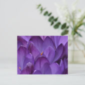Spring Crocus Photography Postkarte (Stehend Vorderseite)