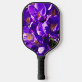SPRING CROCUS PICKLEBALL SCHLÄGER (Vorderseite)