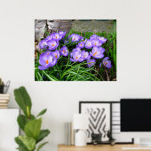 Spring Crocus Poster (Heimbüro)