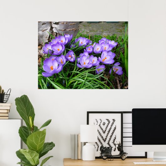Spring Crocus Poster (Heimbüro)