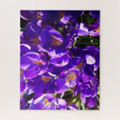 SPRING CROCUS PUZZLE (Vertikal)