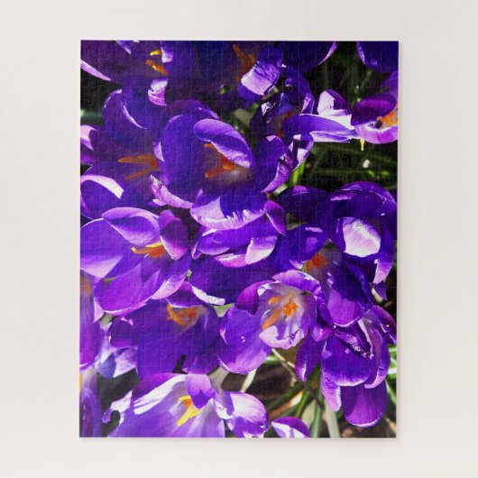 SPRING CROCUS PUZZLE (Vertikal)