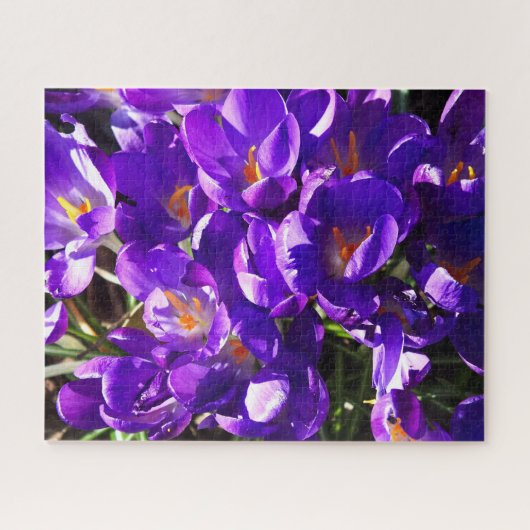 SPRING CROCUS PUZZLE (Horizontal)