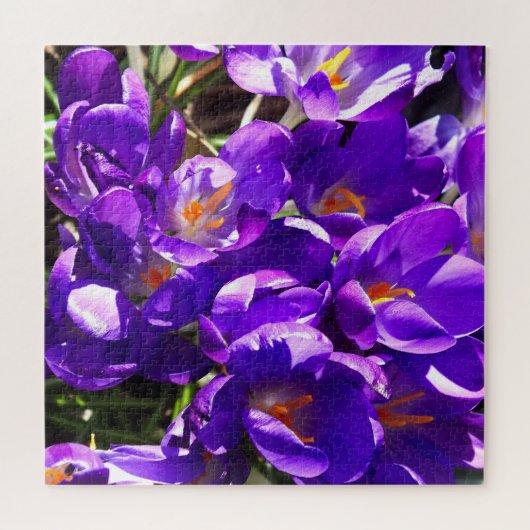 SPRING CROCUS PUZZLE (Horizontal)