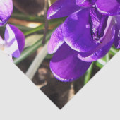 SPRING CROCUS SEIDENPAPIER (Detail)