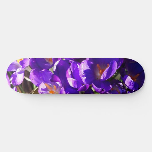 SPRING CROCUS SKATEBOARD (Horizontal)