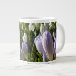 Spring Crocus Specialty Tasse