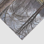 Spring, Crocuses in Bloom by Peder Monk Monsted Seidenpapier (Ausschnitt)