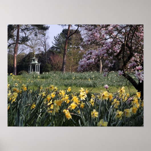 SPRING DAFFODIL GARDEN POSTER (Vorne)