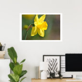 Spring Daffodil Poster (Heimbüro)