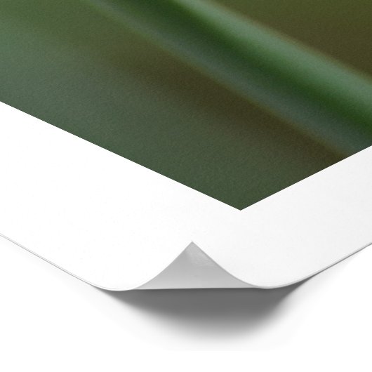 Spring Daffodil Poster (Ecke)