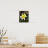 Spring Daffodil Poster (Küche)