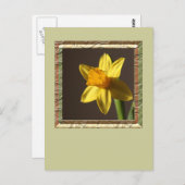 Spring Daffodil Postkarte (Vorne/Hinten)